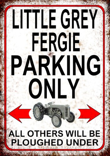 Little grey fergie parking