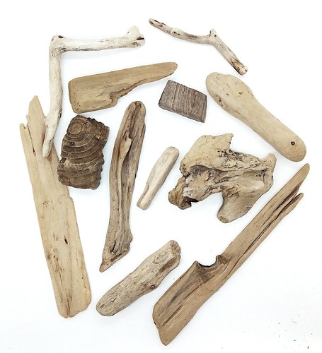 Beach driftwood natural - beach,