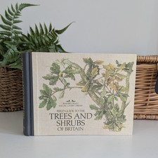 Vintage Field Guide to the