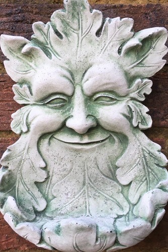 Green man bird - bird, wall