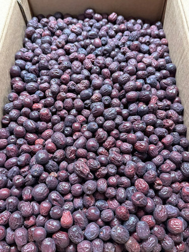 Afghani small size jujube - afghani,
