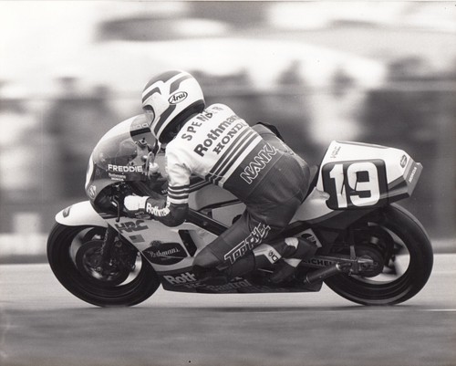 Freddie spencer rothmans honda - freddie,
