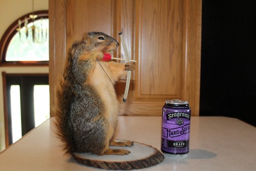 Taxidermy archery hunter - taxidermy,