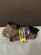 Rice Shower [Thoroughbred