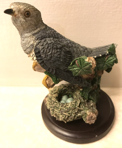The cuckoo country bird - the,