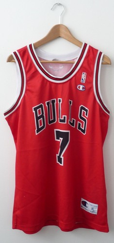 Champion chicago bulls nba - bulls,
