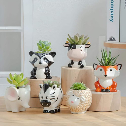 Animal succulent planters with - animal,