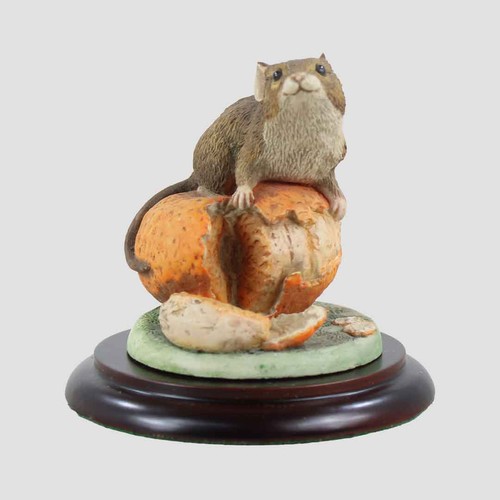 Mouse satsuma border fine - satsuma,