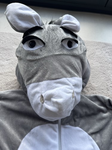 Bristol novelty shrek donkey - bristol,