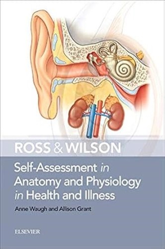 Self assessment anatomy - anatomy, &