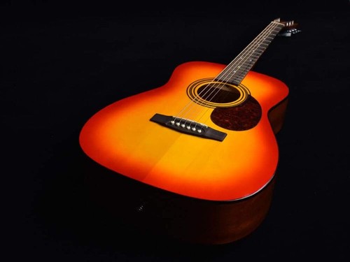 Cort earth acoustic guitar - cort,