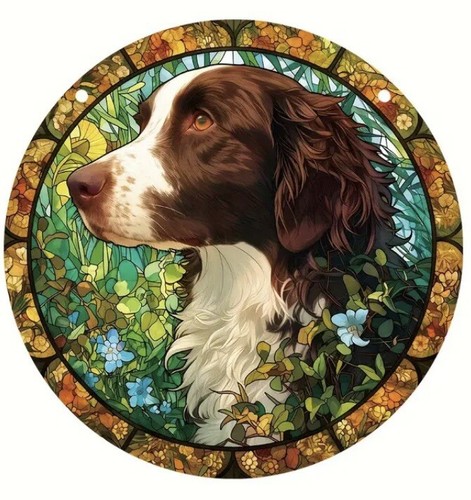 Springer spaniel brown - springer,