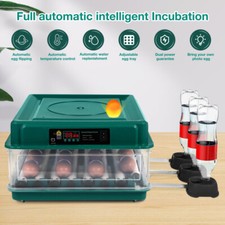 Chicken Incubators for