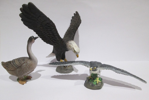 Toy bird figures - toy, papo