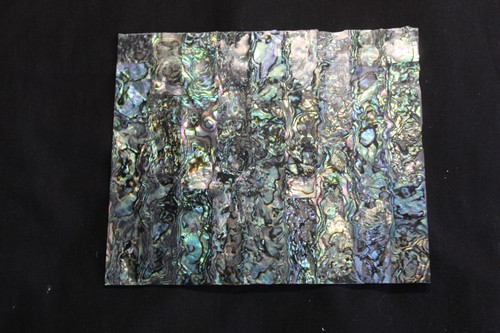 Green abalone thin sheet - green,