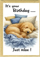 Golden doodle labradoodle - /,