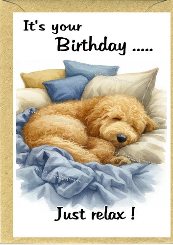 Golden doodle labradoodle - golden,