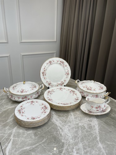 Paragon victoriana rose fine - rose,