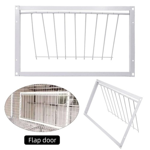 One way pigeon loft trap - one,