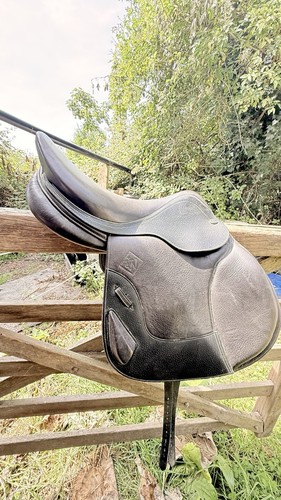 John whitaker jumping - john, 17”