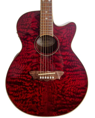 Washburn ea18tr - washburn,