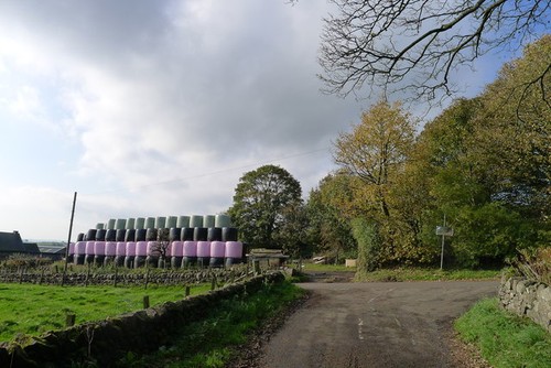Photo silage bales at - photo,