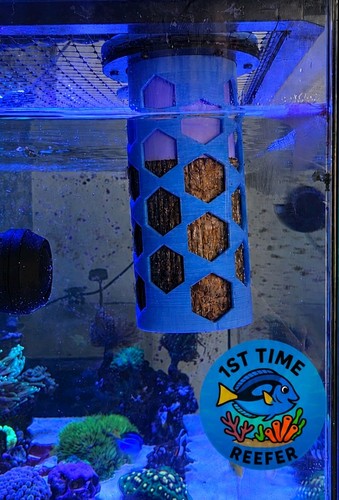 Nori algae feeder - algae, dd