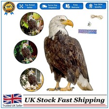 Hawk Bird Scarer Set Pigeon Deterrent withTape For Home Roof Garden Pond -UK-