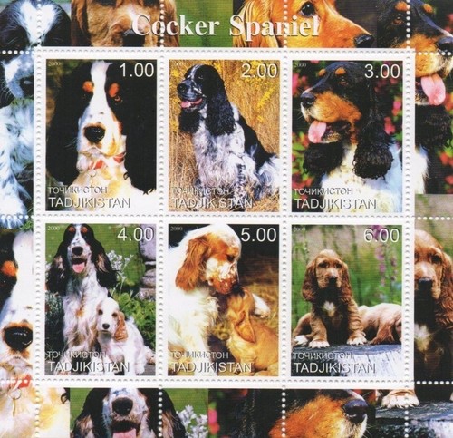 Cocker spaniel dog 2000 - dog, mnh