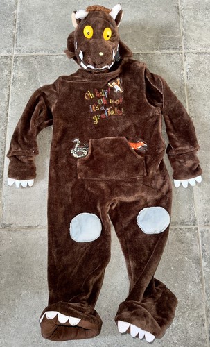 Child fancy dress up - child’s,