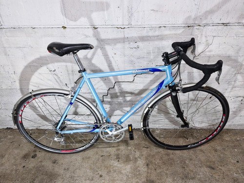 Racelight kinesis - racelight,