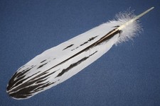 Native American hand painted