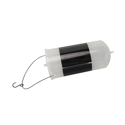 Brine shrimp eggs - brine,
