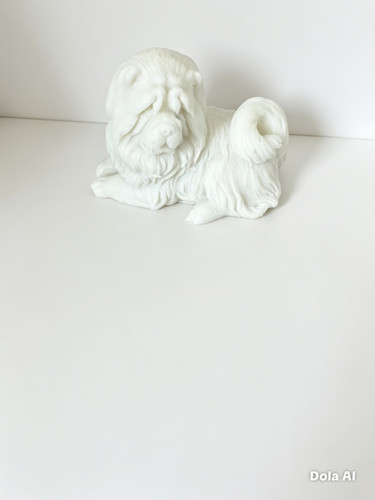 Chow dog - chow,