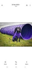 3m Purple Dog Agility Tunnel