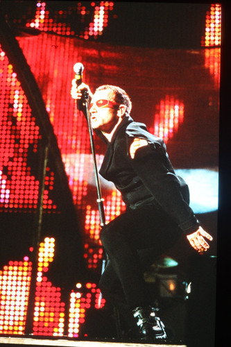 Bono photo transparency - bono,