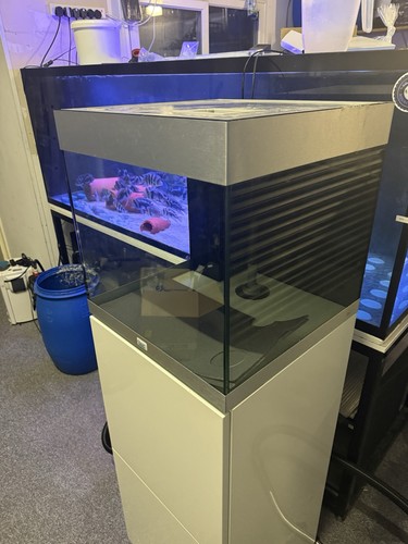 Oase styleline 125 aquarium - styleline,