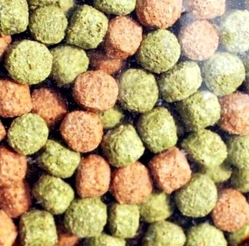 Webbox rainbow pellets mixed - pellets,