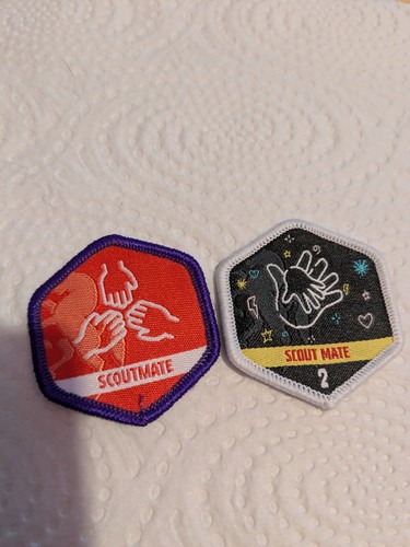 Scout mate badges - mate,
