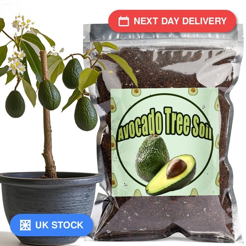Gotvuge organic avocado - organic, tree