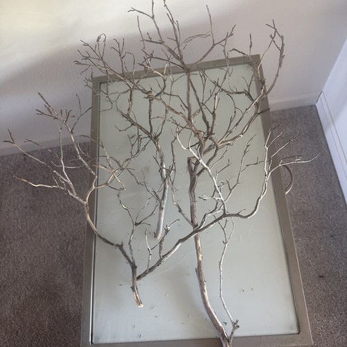 Dried manzanita thin branches - manzanita,