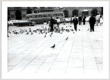 '60s Spain/Italy Photo: Plaza, Pigeons & Mercedes Fintail 482A