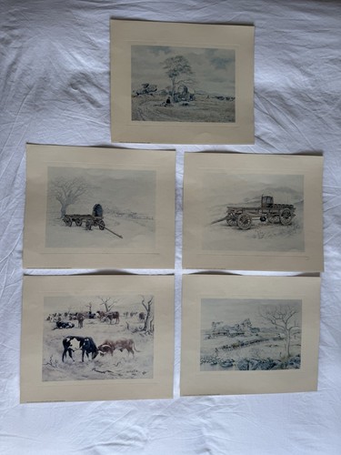 Rhodesian prints - rhodesian,