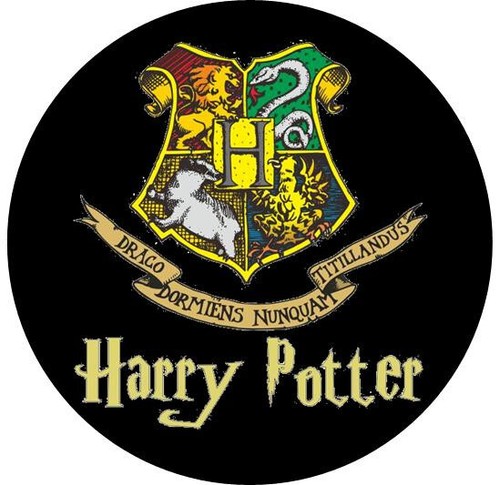 Harry potter button badge 11 - potter,
