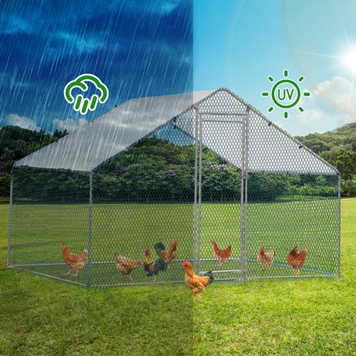 Outvita walk chicken run - walk,