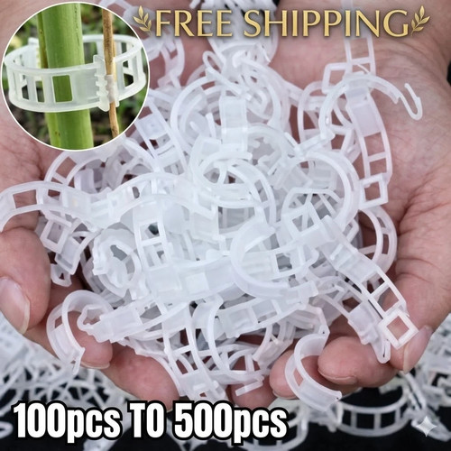 100x clip tomato and - 100x, veggie