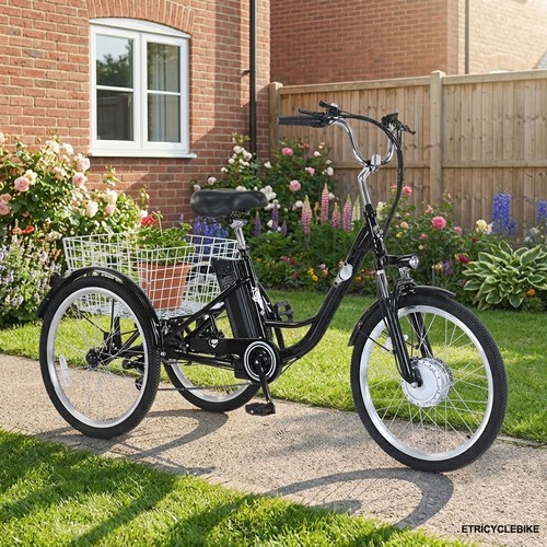 Trike 48v 12ah fat tyre - fat,