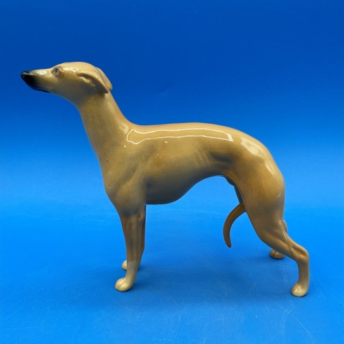 Beswick england whippet dog - whippet,