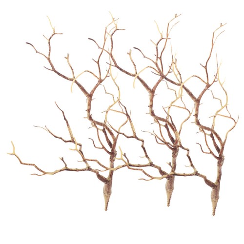 3pcs dry branches stems twigs - dry,