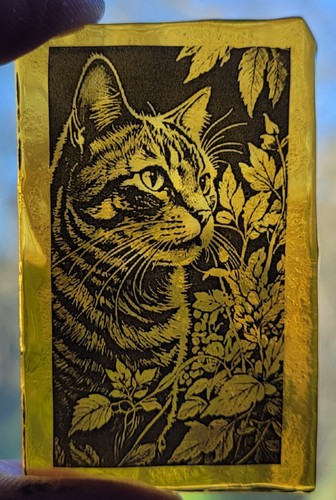 Stained glass tabby cat - stained,
